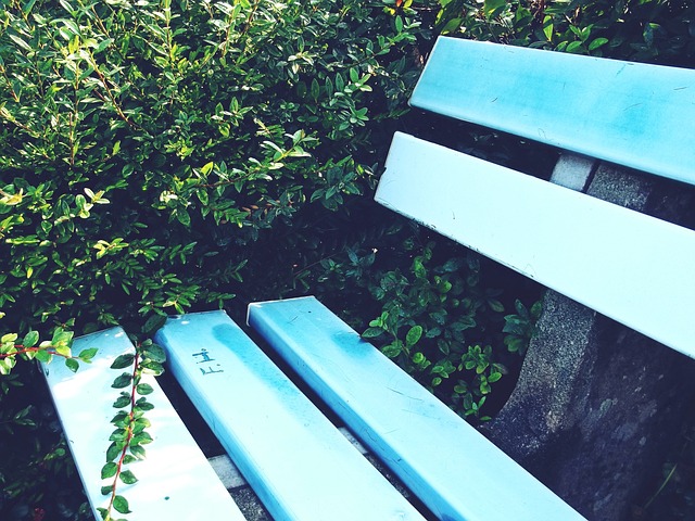 新积分榜彻 新积分榜彻