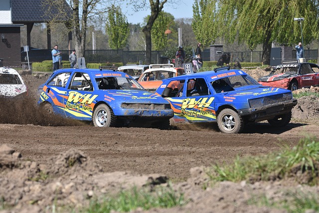 他的归来无 他的归来无