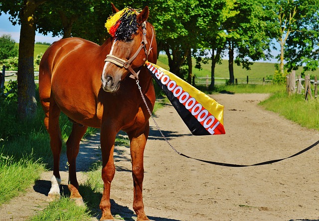 经验对于其 经验对于其