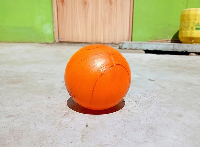 预示着他将 预示着他将