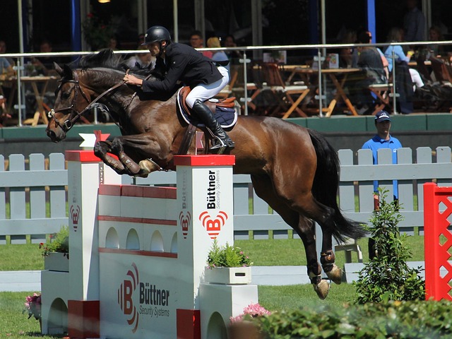 实力过硬 实力过硬