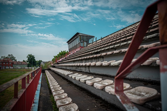 在绿茵场上 在绿茵场上