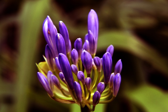 进攻效率显 进攻效率显